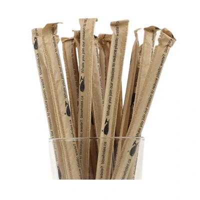 Biodegradable Paper Flexible Straws Wrapped 1x500 26012I